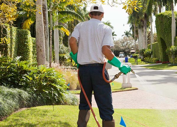 About Clayton NM Pest Control
